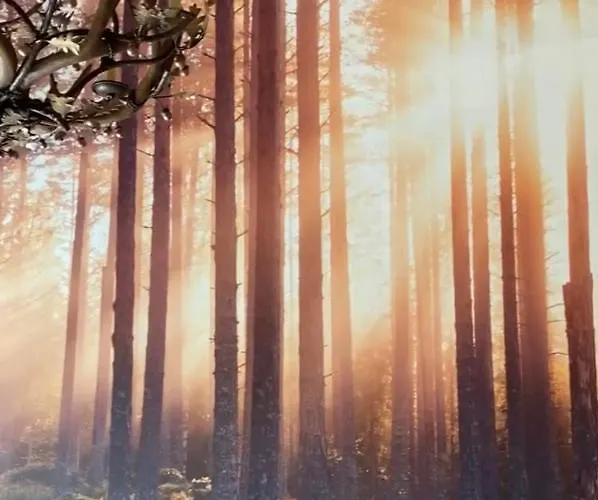 Maore Luxury & 4* Làconi